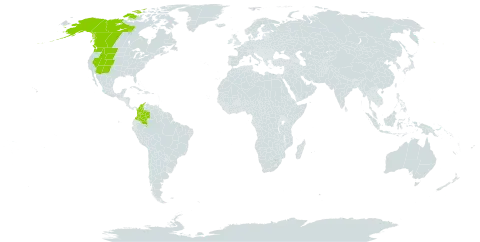 Carex albonigra world distribution map, present in Canada, Colombia, and United States of America