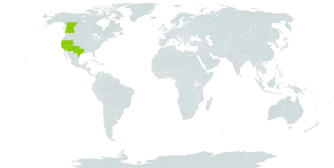 Carex alma world distribution map, present in Canada and United States of America