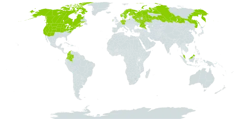 Carex aquatilis var. aquatilis world distribution map, present in Canada, Colombia, Germany, Finland, France, Micronesia (Federated States of), Ireland, Malaysia, Netherlands, Norway, Russian Federation, Sweden, and United States of America