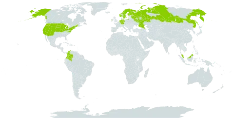 Carex aquatilis world distribution map, present in Colombia, Germany, Finland, Micronesia (Federated States of), Ireland, Malaysia, Netherlands, Norway, Russian Federation, Sweden, and United States of America