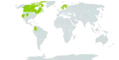 Carex arctogena world distribution map, present in Canada, Colombia, Finland, Norway, Sweden, and United States of America