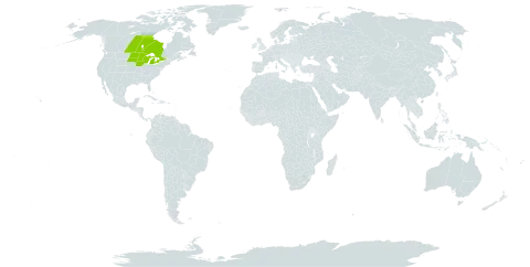 Carex assiniboinensis world distribution map, present in Canada, Micronesia (Federated States of), and United States of America