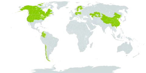 Carex atherodes world distribution map, present in Canada, Chile, China, Colombia, Germany, Finland, Micronesia (Federated States of), Kazakhstan, Montenegro, Poland, Sweden, Turks and Caicos Islands, and United States of America