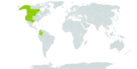 Carex athrostachya world distribution map, present in Canada, Colombia, and United States of America