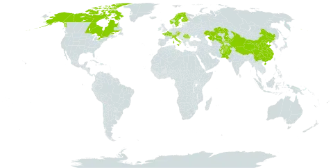 Carex atrofusca world distribution map, present in Afghanistan, Austria, Canada, Switzerland, China, Czech Republic, Finland, France, Italy, Kazakhstan, Kyrgyzstan, Montenegro, Norway, Nepal, Pakistan, Romania, Sweden, United States of America, and Uzbekistan