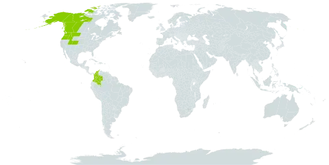 Carex atrosquama world distribution map, present in Canada, Colombia, and United States of America