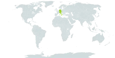 Carex baldensis world distribution map, present in Austria, Switzerland, Germany, and Italy