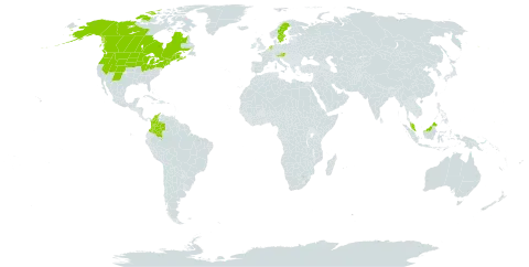 Carex bebbii world distribution map, present in Austria, Canada, Colombia, France, Micronesia (Federated States of), Malaysia, Netherlands, Sweden, and United States of America