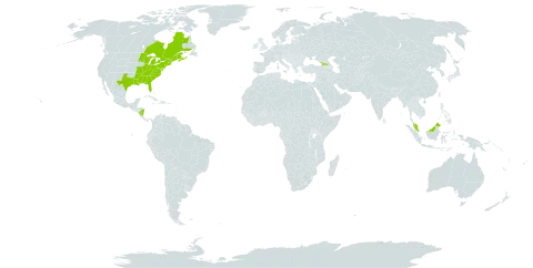 Carex bromoides subsp. bromoides world distribution map, present in Åland Islands, Canada, Micronesia (Federated States of), Georgia, Malaysia, Nicaragua, and United States of America