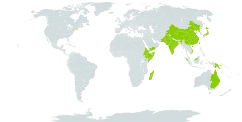 Carex brunnea world distribution map, present in Australia, China, Algeria, Eritrea, Ethiopia, Indonesia, India, Japan, Kenya, Madagascar, Mauritius, Malaysia, Norfolk Island, Pakistan, Philippines, Papua New Guinea, Korea (Democratic People's Republic of), Réunion, Somalia, Taiwan, Province of China, Uruguay, United States of America, Viet Nam, and Yemen