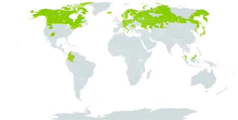 Carex brunnescens subsp. brunnescens world distribution map, present in Austria, Belarus, Canada, Switzerland, Colombia, Czech Republic, Germany, Denmark, Finland, France, Micronesia (Federated States of), Iceland, Italy, Japan, Kazakhstan, Montenegro, Malaysia, Norway, Poland, Korea (Democratic People's Republic of), Romania, Russian Federation, Sweden, and United States of America