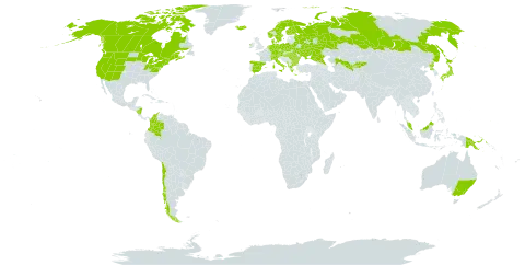 Carex canescens subsp. canescens world distribution map, present in Albania, Australia, Austria, Bulgaria, Belarus, Canada, Switzerland, Chile, Colombia, Czech Republic, Germany, Denmark, Spain, Finland, France, Micronesia (Federated States of), Greece, Hungary, Ireland, Iceland, Italy, Japan, Kyrgyzstan, Montenegro, Malaysia, Nicaragua, Netherlands, Norway, Pakistan, Papua New Guinea, Poland, Korea (Democratic People's Republic of), Romania, Russian Federation, Sweden, Turks and Caicos Islands, Ukraine, United States of America, and Uzbekistan