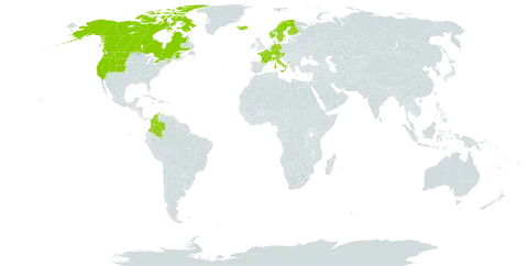 Carex capitata world distribution map, present in Austria, Canada, Colombia, Germany, Finland, France, Iceland, Italy, Montenegro, Norway, Sweden, and United States of America