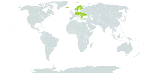 Carex dacica world distribution map, present in Austria, Bulgaria, Czech Republic, Germany, Finland, Greece, Ireland, Iceland, Norway, Poland, Romania, Sweden, and Ukraine