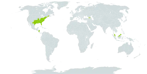 Carex debilis var. debilis world distribution map, present in Åland Islands, Micronesia (Federated States of), Georgia, Malaysia, Nicaragua, and United States of America