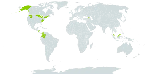 Carex deflexa world distribution map, present in Colombia, Micronesia (Federated States of), Georgia, Malaysia, Nicaragua, and United States of America