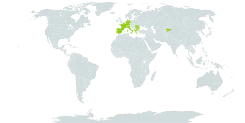 Carex depauperata world distribution map, present in Albania, Bulgaria, Switzerland, Germany, Spain, France, Greece, Ireland, Italy, Kyrgyzstan, Portugal, Romania, and Turks and Caicos Islands