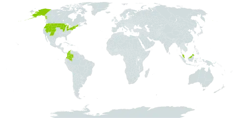 Carex deweyana world distribution map, present in Colombia, Micronesia (Federated States of), Malaysia, and United States of America