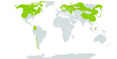 Carex disperma world distribution map, present in Belarus, Canada, Chile, China, Colombia, Finland, France, Micronesia (Federated States of), United Kingdom of Great Britain and Northern Ireland, Japan, Malaysia, Norway, Poland, Korea (Democratic People's Republic of), Russian Federation, Sweden, and United States of America