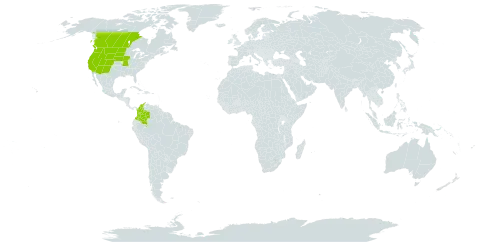 Carex douglasii world distribution map, present in Canada, Colombia, and United States of America