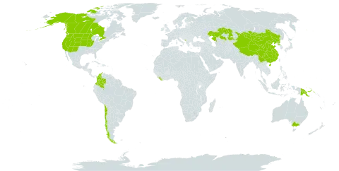 Carex duriuscula world distribution map, present in Australia, Canada, Chile, China, Colombia, Micronesia (Federated States of), Kazakhstan, Liberia, Montenegro, Mongolia, Papua New Guinea, Korea (Democratic People's Republic of), and United States of America