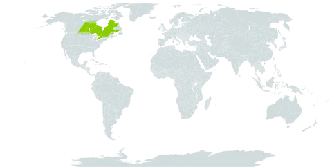 Carex echinodes world distribution map, present in Canada and Micronesia (Federated States of)