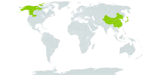 Carex eleusinoides world distribution map, present in Canada, China, Japan, Montenegro, Korea (Democratic People's Republic of), and United States of America