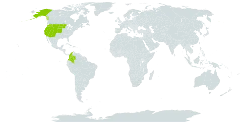 Carex filifolia world distribution map, present in Colombia and United States of America