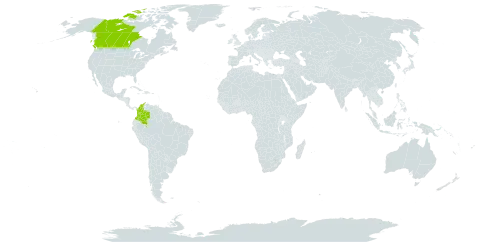 Carex filifolia var. filifolia world distribution map, present in Canada and Colombia