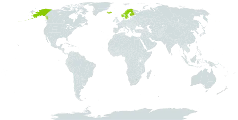 Carex glareosa world distribution map, present in Finland, Iceland, Norway, Svalbard and Jan Mayen, Sweden, and United States of America