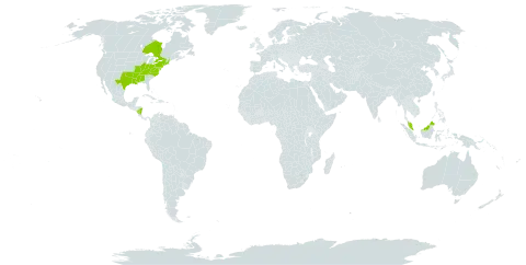 Carex glaucodea world distribution map, present in Åland Islands, Canada, Malaysia, Nicaragua, and United States of America