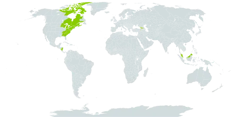 Carex gynandra world distribution map, present in Canada, France, Micronesia (Federated States of), Georgia, Malaysia, Nicaragua, and United States of America