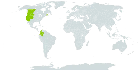 Carex heteroneura var. epapillosa world distribution map, present in Canada, Colombia, and United States of America