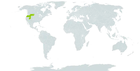 Carex idahoa world distribution map, present in United States of America