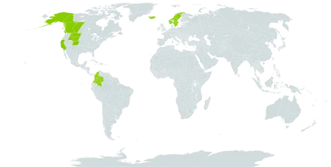 Carex incurviformis world distribution map, present in Canada, Colombia, Iceland, Norway, Svalbard and Jan Mayen, Sweden, and United States of America