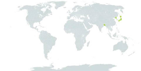 Carex jackiana world distribution map, present in Bangladesh, Japan, and Korea (Democratic People's Republic of)