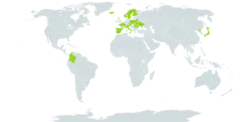 Carex lachenalii subsp. lachenalii world distribution map, present in Austria, Belarus, Switzerland, Colombia, Czech Republic, Spain, Finland, France, Iceland, Italy, Japan, Montenegro, Norway, Poland, Korea (Democratic People's Republic of), Romania, Svalbard and Jan Mayen, Sweden, and Ukraine