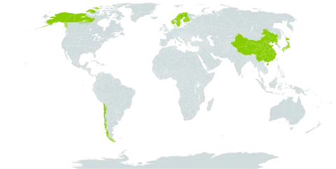 Carex laxa world distribution map, present in Canada, Chile, China, Finland, Japan, Montenegro, Norway, Korea (Democratic People's Republic of), Sweden, and United States of America