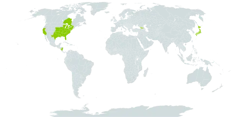 Carex leavenworthii world distribution map, present in Åland Islands, Canada, Micronesia (Federated States of), Georgia, Japan, Nicaragua, and United States of America