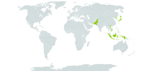 Carex lenta world distribution map, present in United Kingdom of Great Britain and Northern Ireland, Indonesia, Japan, Moldova (Republic of), Nepal, Pakistan, Philippines, Korea (Democratic People's Republic of), and Viet Nam