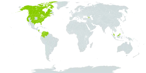 Carex leptalea world distribution map, present in Åland Islands, Canada, Colombia, Dominica, France, Micronesia (Federated States of), Georgia, Malaysia, Nicaragua, United States of America, and Venezuela (Bolivarian Republic of)