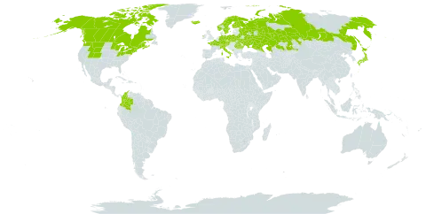 Carex magellanica subsp. irrigua world distribution map, present in Austria, Belarus, Canada, Switzerland, Colombia, Czech Republic, Germany, Finland, France, Micronesia (Federated States of), Ireland, Iceland, Italy, Japan, Kazakhstan, Montenegro, Norway, Poland, Romania, Russian Federation, Sweden, Turks and Caicos Islands, Ukraine, and United States of America