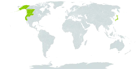 Carex mertensii world distribution map, present in Canada, Japan, and United States of America