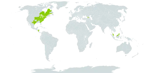 Carex mesochorea world distribution map, present in Åland Islands, Canada, Micronesia (Federated States of), Georgia, Malaysia, Nicaragua, and United States of America