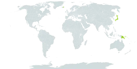 Carex michauxiana subsp. asiatica world distribution map, present in China, Iceland, Japan, Sri Lanka, and Papua New Guinea