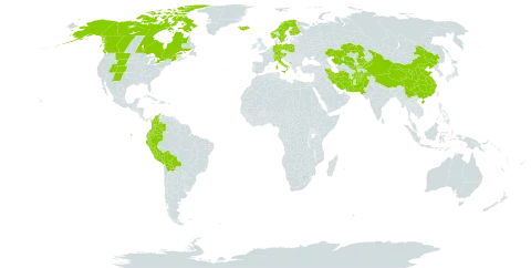 Carex microglochin world distribution map, present in Afghanistan, Austria, Bolivia (Plurinational State of), Canada, Switzerland, China, Colombia, Germany, Ecuador, Finland, France, Iran (Islamic Republic of), Iceland, Italy, Kazakhstan, Kyrgyzstan, Montenegro, Norway, Nepal, Pakistan, Peru, Poland, Sweden, Turks and Caicos Islands, United States of America, and Uzbekistan