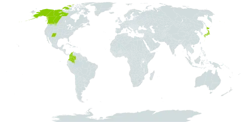 Carex micropoda world distribution map, present in Canada, Colombia, Japan, and United States of America