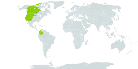 Carex microptera world distribution map, present in Canada, Colombia, and United States of America