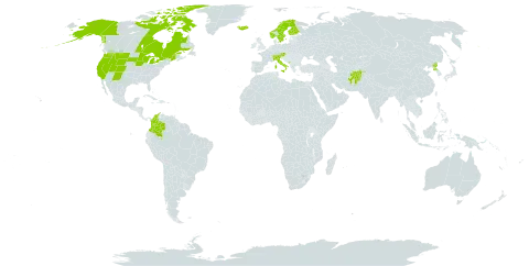 Carex norvegica world distribution map, present in Afghanistan, Austria, Canada, Switzerland, Colombia, Finland, France, Iceland, Italy, Montenegro, Norway, Nepal, Korea (Democratic People's Republic of), Sweden, and United States of America