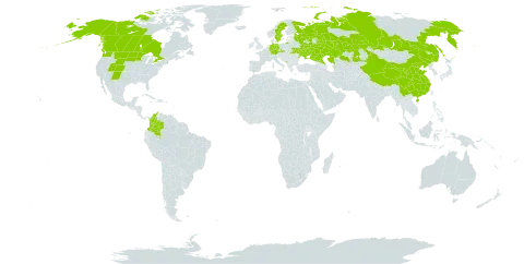 Carex obtusata world distribution map, present in Canada, China, Colombia, Czech Republic, Germany, Kazakhstan, Montenegro, Russian Federation, Sweden, Ukraine, and United States of America